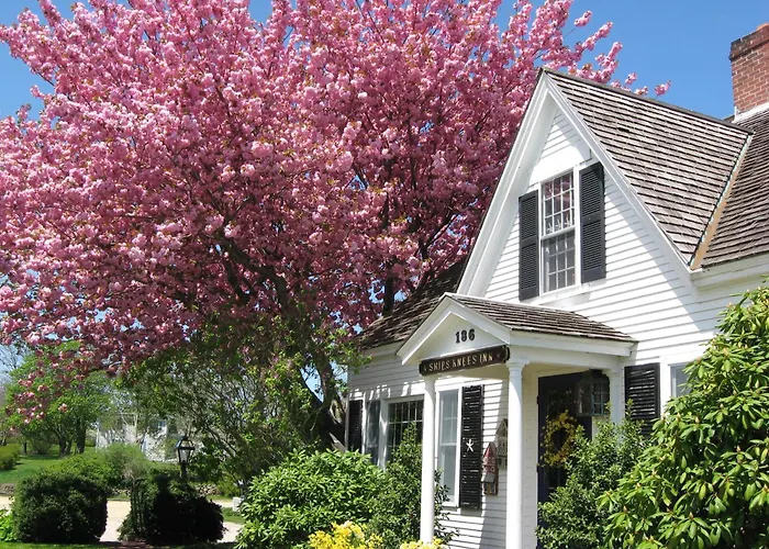 East Orleans B&B