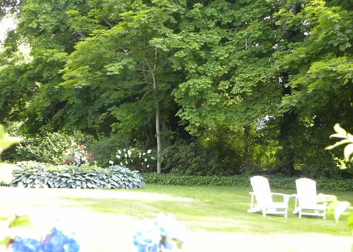 Bed & Breakfasts in Brewster near Cape Cod Museum of Natural History