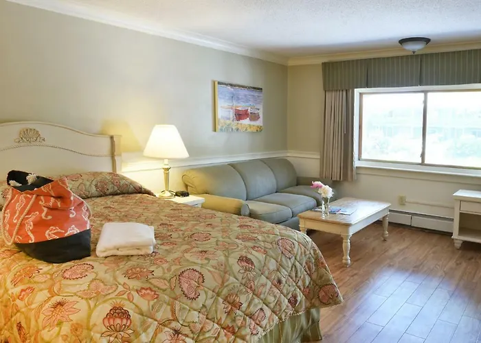 The Cove Motel Orleans